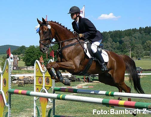 CIC* - Vašáková - Leon de Beyssac CIC* - Vašáková - Leon de Beyssac