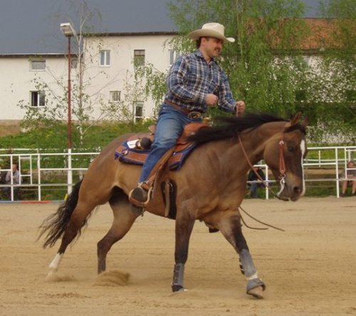 Cval na kruhu - ilustrační foto.