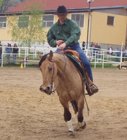 Pěkný cval na kruhu
