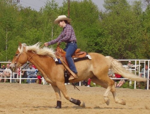 Rychlý cval na kruhu