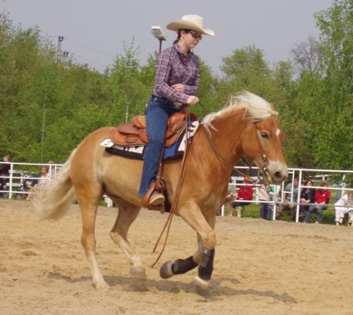 Pomalý cval na kruhu