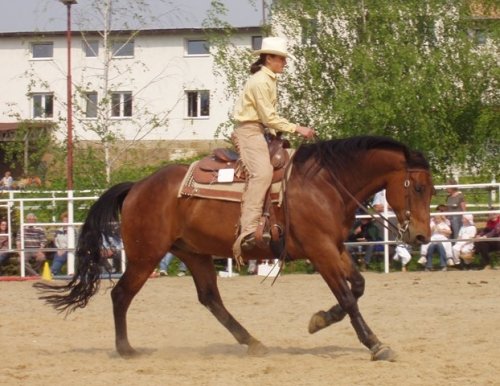 Cval na rovné linii