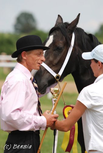 Posuzovatel Jo Claes