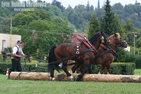 Vladimír Hajtmar - foto z III. kvalifikace Hradec nad Moravicí