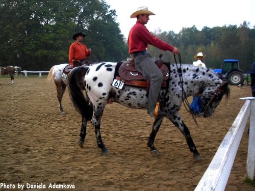 Vjezd z opracoviště do arény
