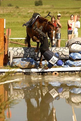 Stříbrná podkova - Krčmář Josef - CHRISTO 1, JK Humpolec, domácí reprezentant, po drezuře vedoucí, byl bohužel v sobotním crossu vyloučen.