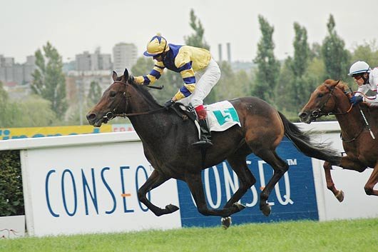 Addison vítězí v Gerschove memoriálu.