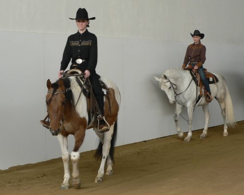 Srovnání dvou koní