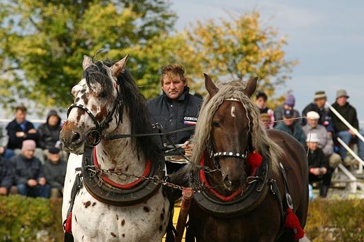 Jan Blizňák, podsední 2952 Brys Slezský, náruční 2868 Nacho Salazar