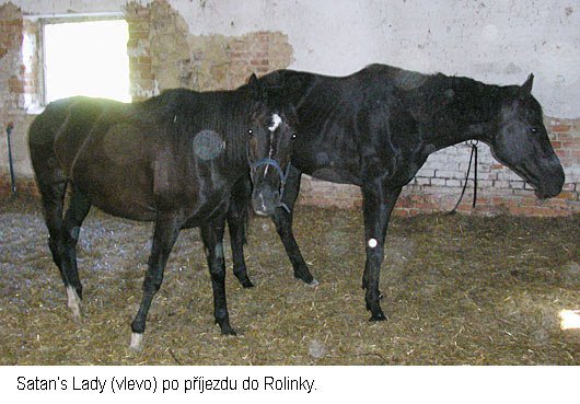 Satan’s Lady Satan’s Lady