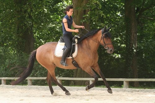 I ve cvalu je třeba dodržovat lehký kontakt a přitom nepůsobit na jazyk