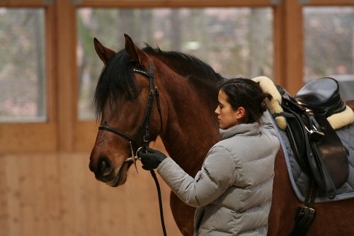 Uvolnění huby vytažením udidla do koutků ze země