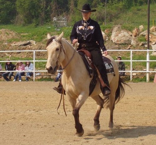 Ve western horsemanshipu se hodnotí vše - od provedení úlohy přes sed jezdce až k celkové úpravě.
