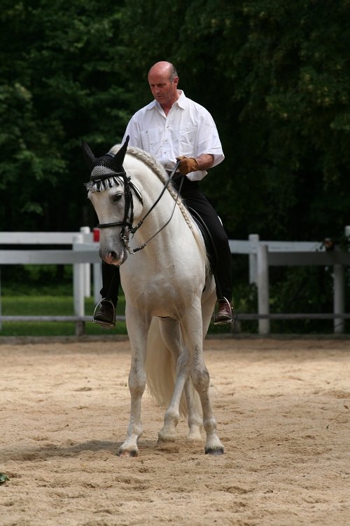 poloviční překrok