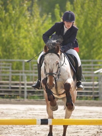 M. Mašková a Romeo, Májová Parkuriáda 2008