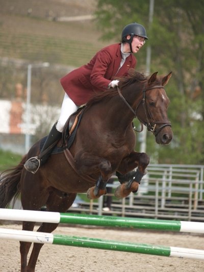 H. Štěpánková a Mandy, Májová Parkuriáda 2008.