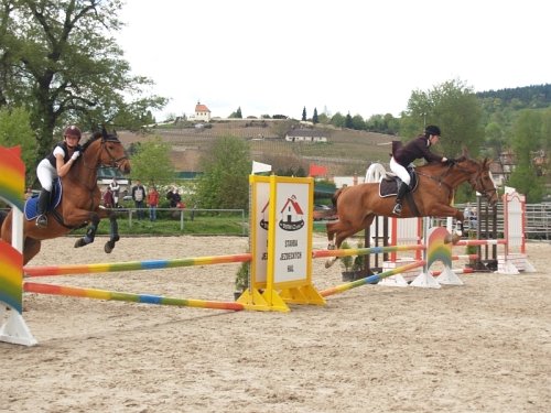 Paralelní skákání, Májová Parkuriáda 2008.