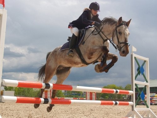 M. Mašková a Romeo, Májová Parkuriáda 2008.