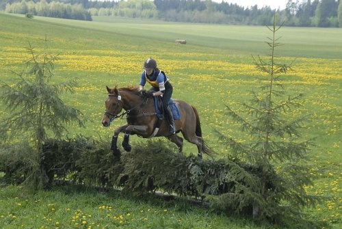 Kvalifikace ZP, Dvoreček: Buriánková Marie - Lambo