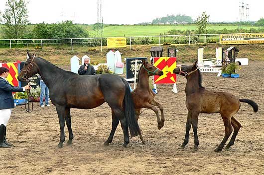 přehlídka koní oblasti Mělníka