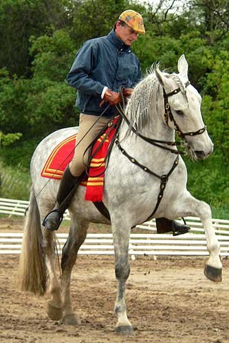 ukázka drezurní jízdy Mariana Rodena