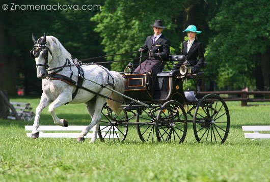 Tomáš Barták ml. a Favory Falstra XV-6