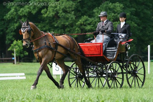 Marek Jirgala a Maximus P