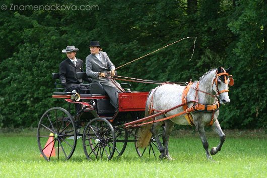 Alena Brixová a Abigail