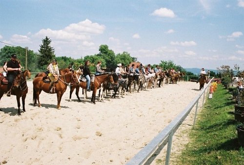 2008 Paint Trail Ride