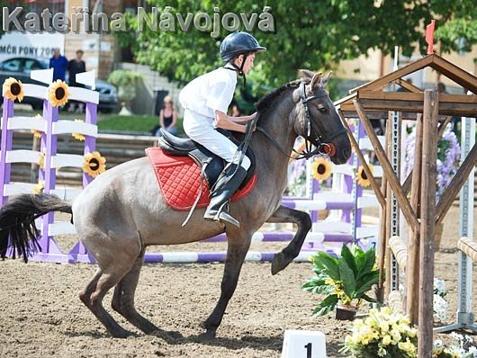 Lukáš Matuška a Gwen Nazir při prvním startu po složení ZZVJ