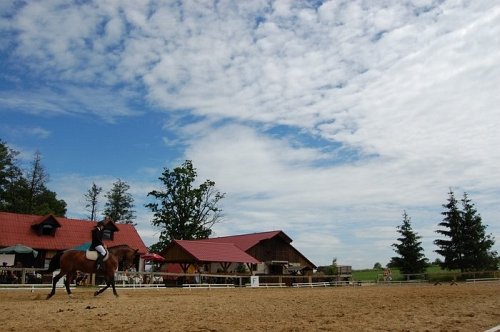 Drezurní pohár Beskyd