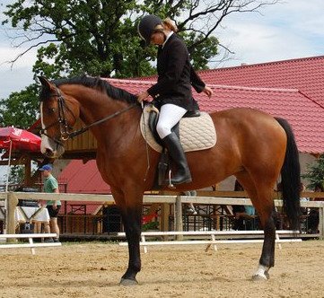 Edita Mičulková - Klára