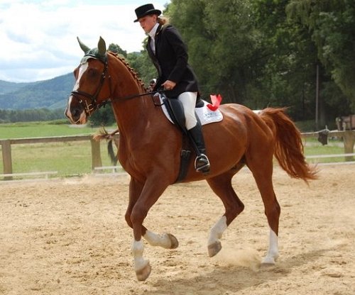 Nicol Rajdová - Rybíz