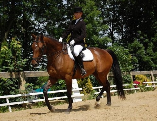 Sylvie Phillipová - Diana