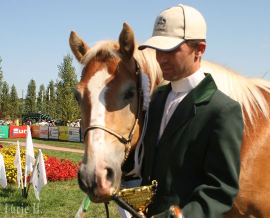 Nadměrná velikost odznaků není v chovu žádoucí