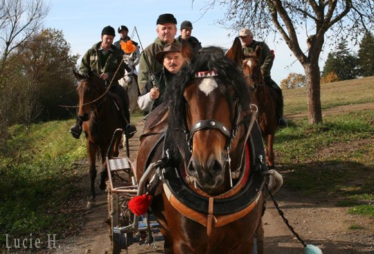 Běleč - Bo&scaron;&aacute;r a p&aacute;nsk&yacute; 