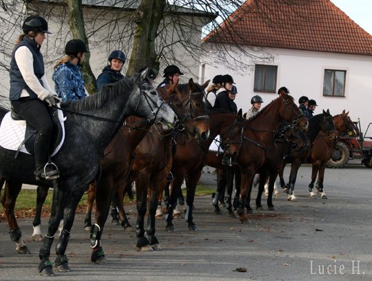 Rtibořsk&eacute; Hory - n&aacute;stup Foto: Lucie Hladov&aacute;