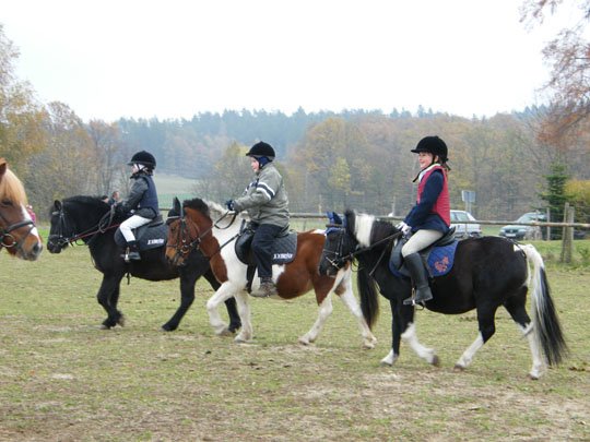 dobro&scaron;ovsk&eacute; děti na pon&iacute;c&iacute;ch Foto: Michaela Neumanov&aacute;