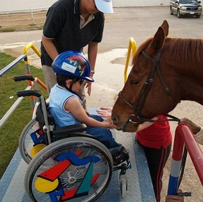 Toto vše je hiporehabilitace