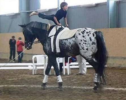 Toto vše je hiporehabilitace