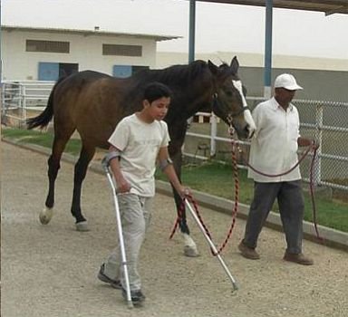 Toto vše je hiporehabilitace