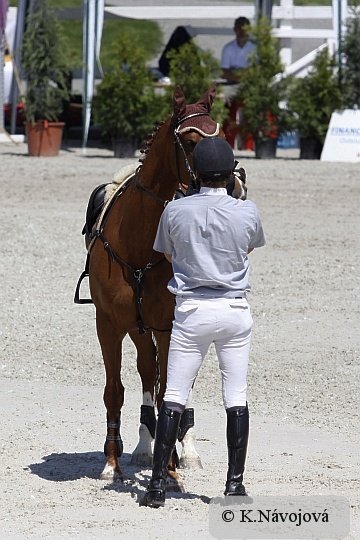 Takto skončil Sergej Motygin, když svému koni Zoe de Libri strhl během parkuru uzdečku - musel seskočit a opravit Takto skončil Sergej Motygin, když svému koni Zoe de Libri strhl během parkuru uzdečku - musel seskočit a opravit