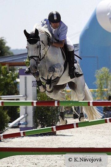Klisna Avena 1, kterou jsme vídali s jezdcem Filipem Doležalem, si s Lubošem Vondráčkem dobře rozuměli a dokončili soutěž S** bez trestných bodů (15.místo z 86 dvojic) Klisna Avena 1, kterou jsme vídali s jezdcem Filipem Doležalem, si s Lubošem Vondráčkem dobře rozuměli a dokončili soutěž S** bez trestných bodů (15.místo z 86 dvojic)