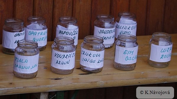 Tipovací soutěž o vítěze VC - těsně před finálem Tipovací soutěž o vítěze VC - těsně před finálem