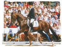 Ingrid Klimke, Damon Hill