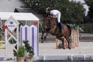 Ladislav Vachutka - Dárek