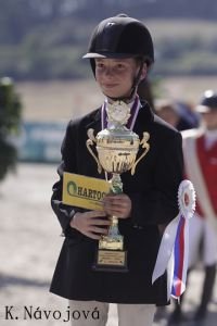 Miloš Chlanda při dekorování