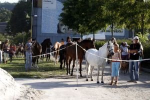 Krátce po příjezdu...