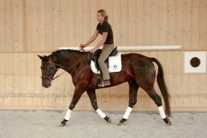 natažení dopředu a dolů