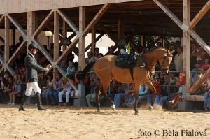 p. Půlpán a Nugát Kinský
